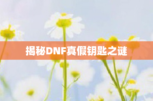 揭秘DNF真假钥匙之谜图片