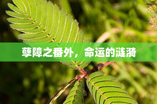 孽障之番外图片