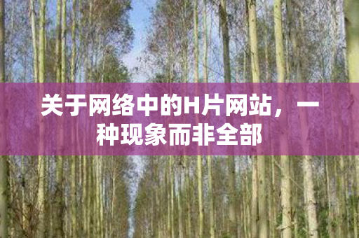 关于网络中的H片网站图片