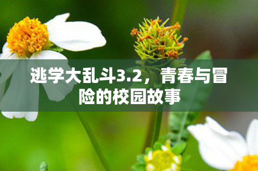 青春与冒险的校园故事图片