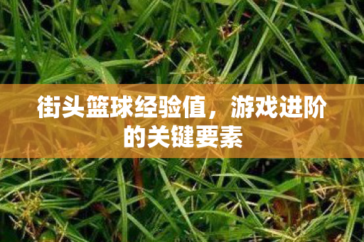 游戏进阶的关键要素图片