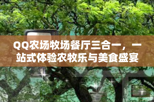 一站式体验农牧乐与美食盛宴图片
