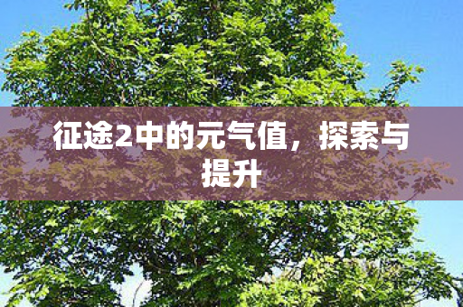 征途2中的元气值图片