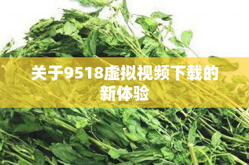 关于9518虚拟视频下载的新体验图片