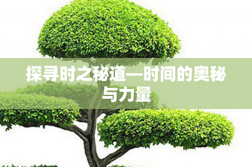 时间的奥秘与力量图片