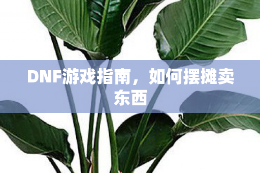 DNF游戏指南图片