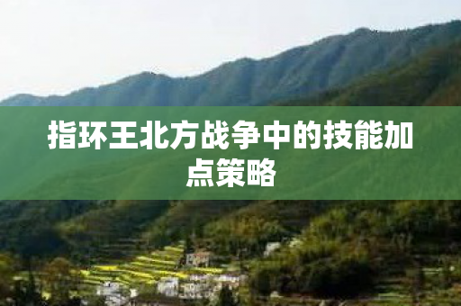 指环王北方战争中的技能加点策略图片