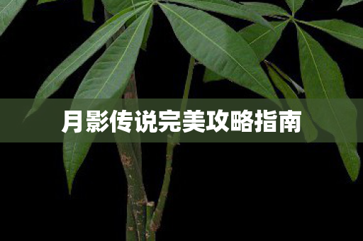 月影传说完美攻略指南图片