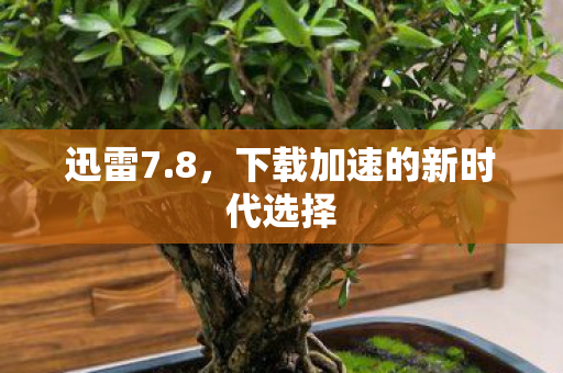 下载加速的新时代选择图片