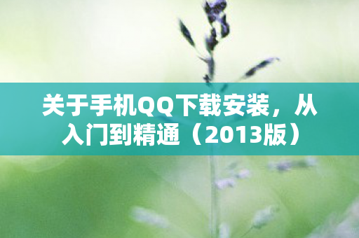 关于手机QQ下载安装图片