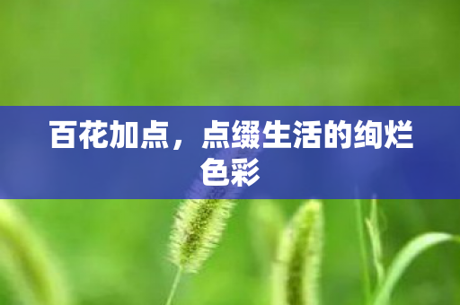 点缀生活的绚烂色彩图片