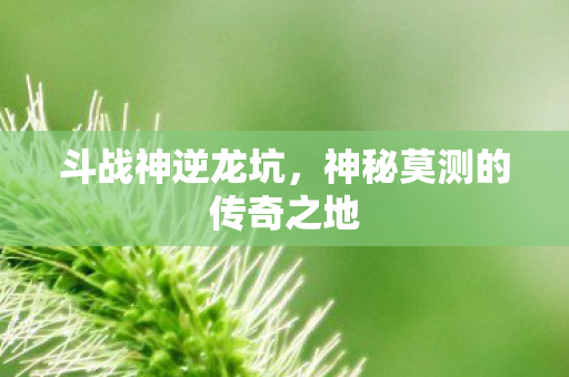 神秘莫测的传奇之地图片