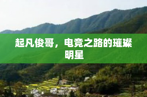 电竞之路的璀璨明星图片