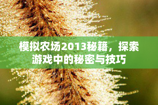 探索游戏中的秘密与技巧图片