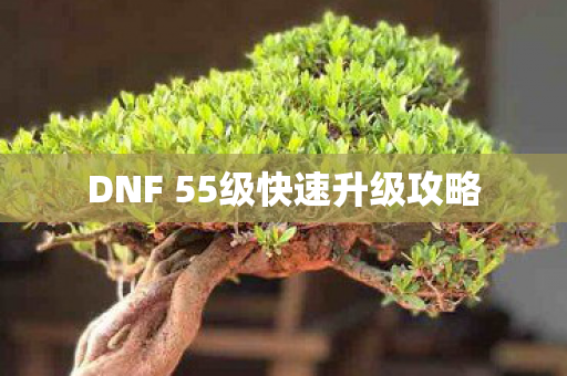 DNF 55级快速升级攻略图片