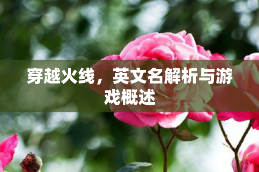 英文名解析与游戏概述图片