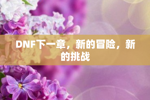 DNF下一章图片
