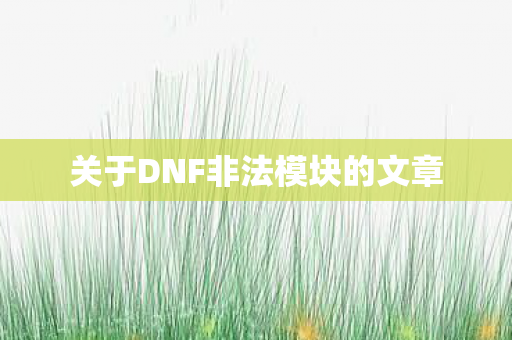 关于DNF非法模块的文章图片