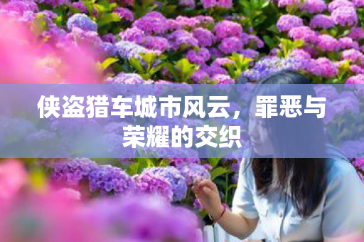 侠盗猎车城市风云，罪恶与荣耀的交织