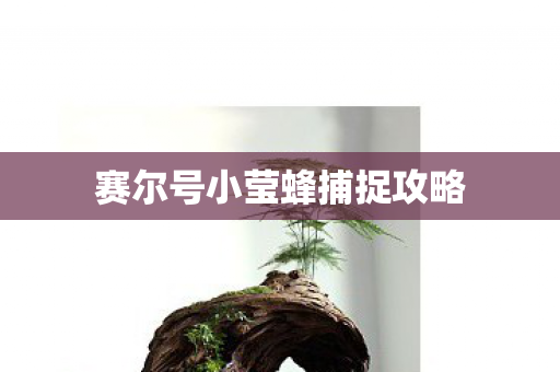 赛尔号小莹蜂捕捉攻略图片
