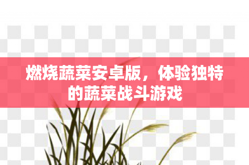体验独特的蔬菜战斗游戏图片
