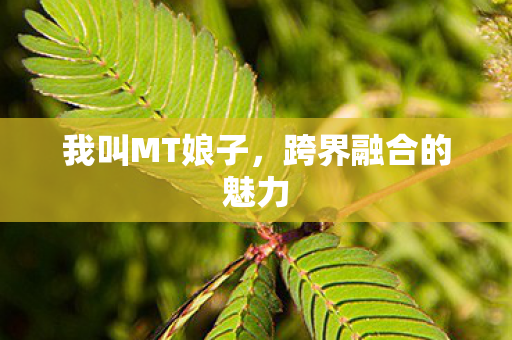 跨界融合的魅力图片