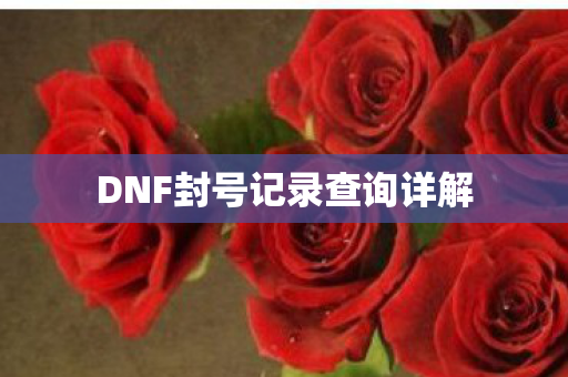 DNF封号记录查询详解图片