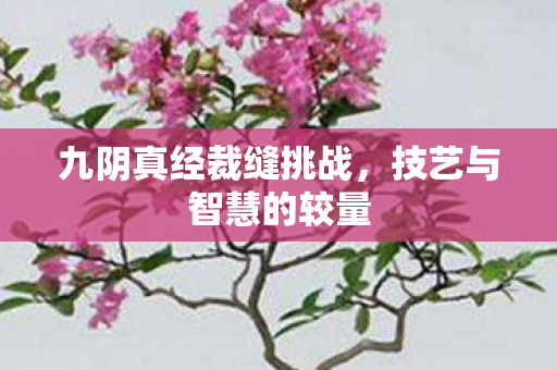 九阴真经裁缝挑战图片