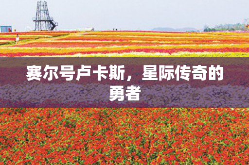 星际传奇的勇者图片