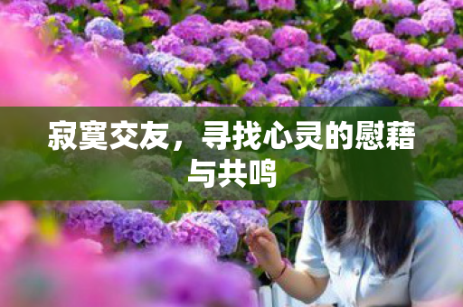 寂寞交友,寻找心灵的慰藉与共鸣 寂寞交友,寻找心灵的慰藉与共鸣
