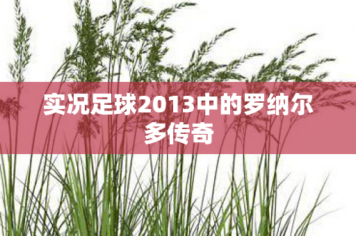 实况足球2013中的罗纳尔多传奇图片