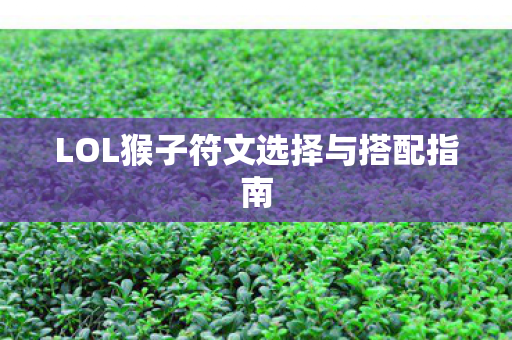 LOL猴子符文选择与搭配指南图片