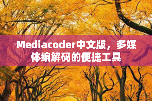 Mediacoder中文版图片