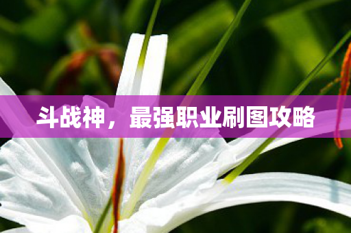 最强职业刷图攻略图片