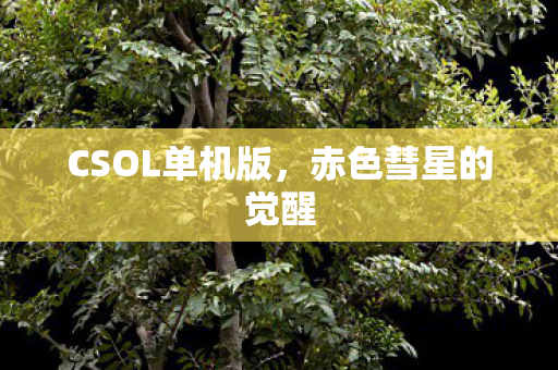 CSOL单机版图片