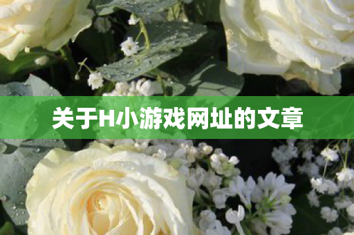 关于H小游戏网址的文章图片