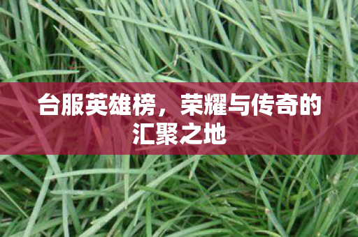 荣耀与传奇的汇聚之地图片