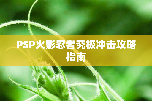 PSP火影忍者究极冲击攻略指南图片