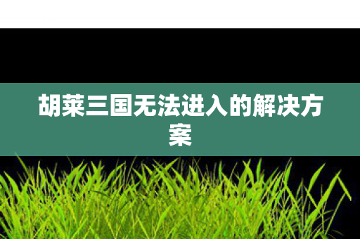 胡莱三国无法进入的解决方案图片