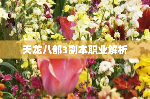 天龙八部3副本职业解析图片