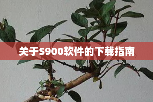 关于S900软件的下载指南图片