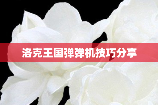 洛克王国弹弹机技巧分享图片