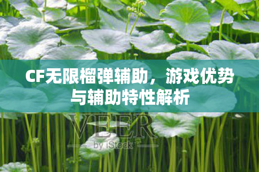 游戏优势与辅助特性解析图片