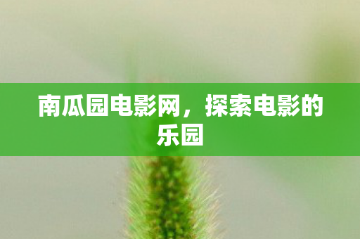 探索电影的乐园图片