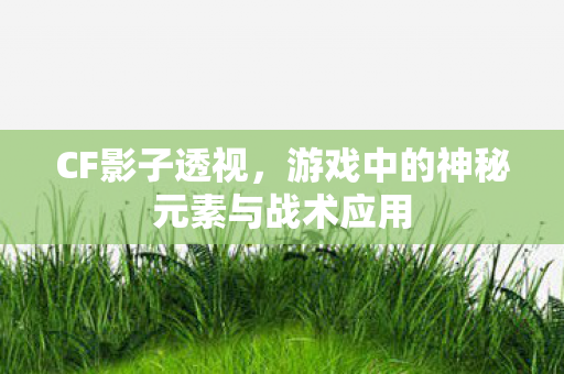 游戏中的神秘元素与战术应用图片