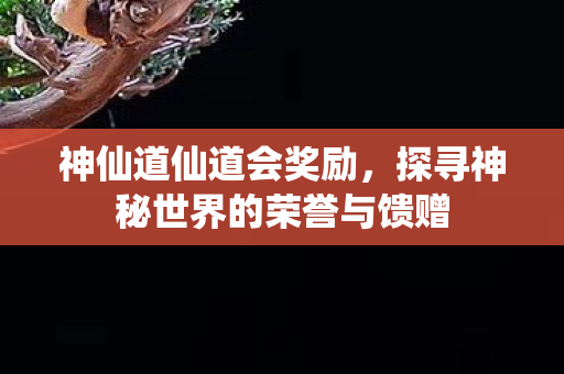 探寻神秘世界的荣誉与馈赠图片