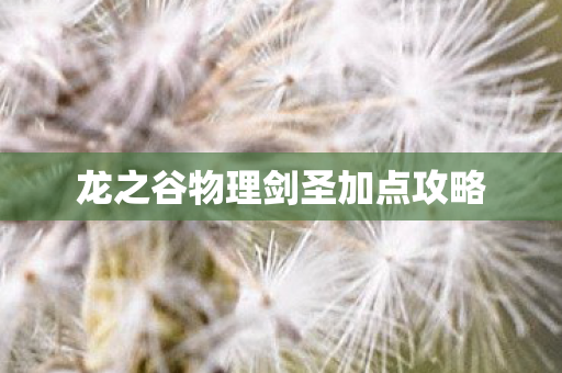 龙之谷物理剑圣加点攻略图片
