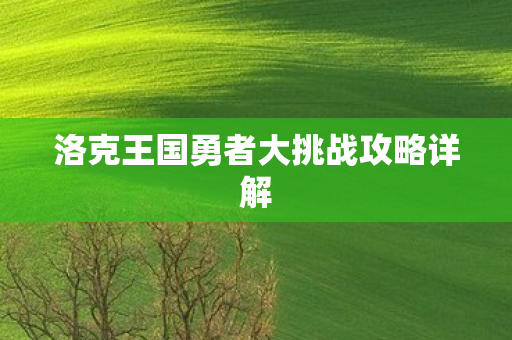 洛克王国勇者大挑战攻略详解图片