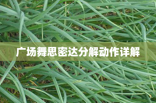 广场舞思密达分解动作详解图片