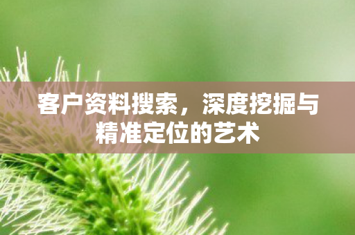 深度挖掘与精准定位的艺术图片